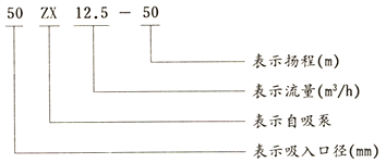 大東海泵業自吸離心泵結構圖